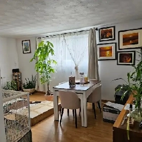 logement 2 chambres Gatineau secteur Hull Image# 2