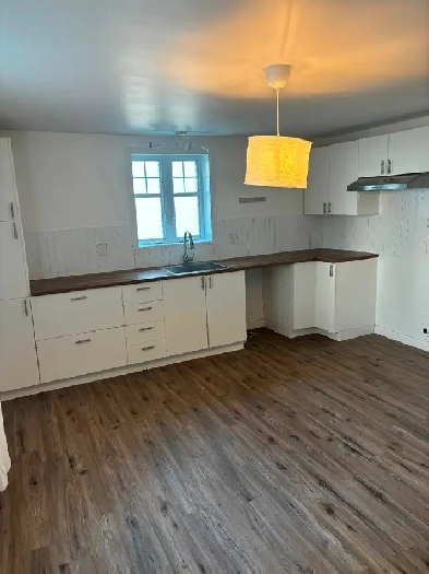 Appartement 4 1/2 Image# 5