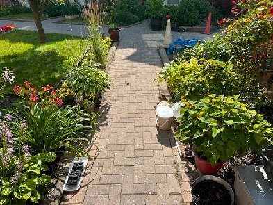 Quiet, peaceful  location close to all amenities Image# 4