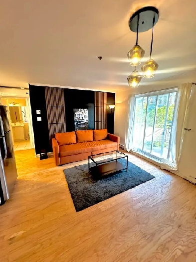 Bedroom Apartment for Rent – Fully Furnished – Côte-des-Neige Image# 4