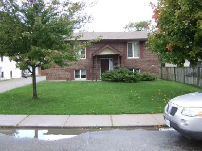 2 Bedroom apartment for Lease Image# 1
