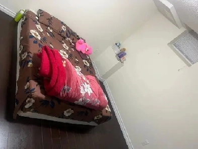 One private room available in 2 bedroom sharing basement Image# 1