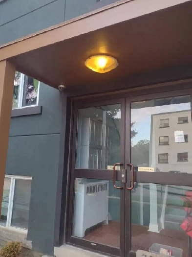 Newly renovated 1 bedroom and 1 bachelor apartments for rent Image# 3