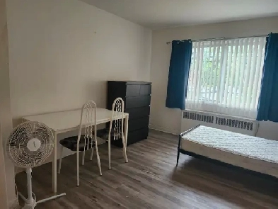 Studio 1 1/2 a louer. Apartment 1 1/2 for rent Image# 2