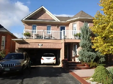 SPACIOUS ONE BEDROOM APT   DEN IN MAPLE Image# 6