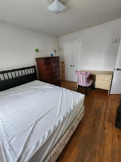 Finch w past Bathurst lrg furn'd private room for girl ready now Image# 2
