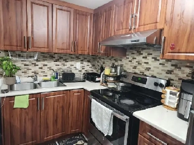 A Gorgeous new residential area, brand new 1 bedroom basement Image# 1