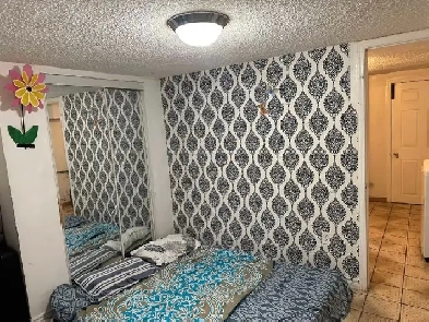 WALKOUT BASEMENT FOR RENT IN MALTON Image# 6