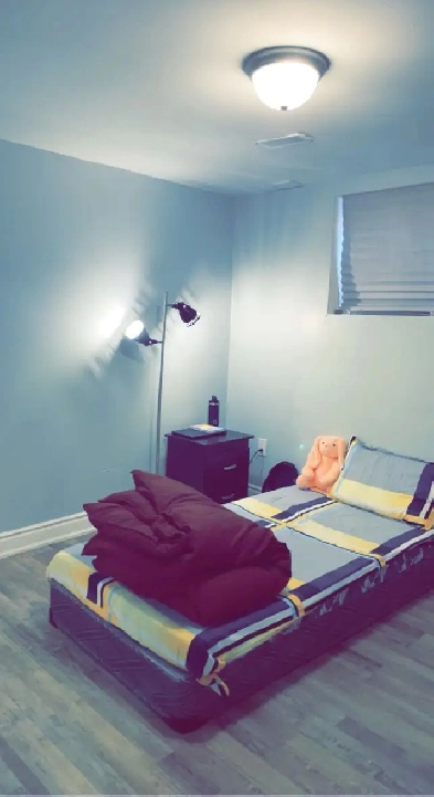 2 Bedroom Basement for Rent Image# 3