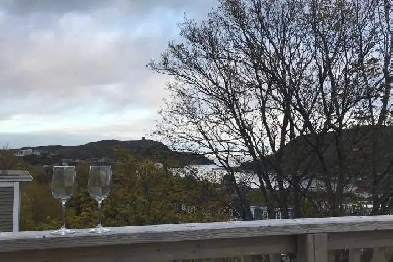 Large, 1 bedroom, downtown  apt, fully, furnished/equipped Image# 1