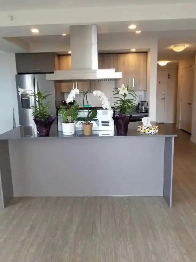 Apartment for short term in Halifax downtown Image# 9