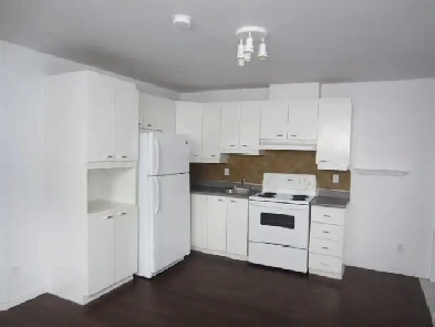 3 1/2 Appartement Image# 1