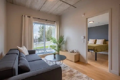 3½ appartement meublé, neuf et moderne Image# 12