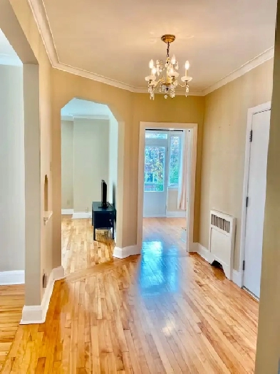 Outremont Adj - beau 6 1/2 haut 2plex aire ouverte Image# 10