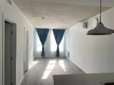 Bois-Franc Condo for rent - a few steps away from everything Image# 8