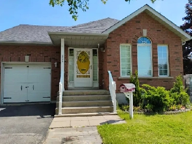 House for rent Kingston East Image# 6