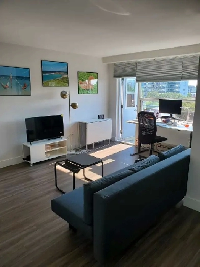 Beautiful 461 sqf studio for rent until December Image# 5