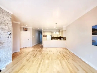 Magnifique grand 4 ½, très lumineux au cœur du Plateau Image# 10