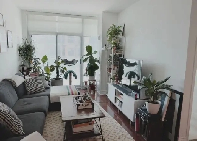 1 BDR   DEN   BALCONY Image# 3