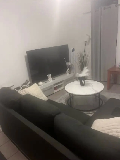 appartement for rent Image# 2