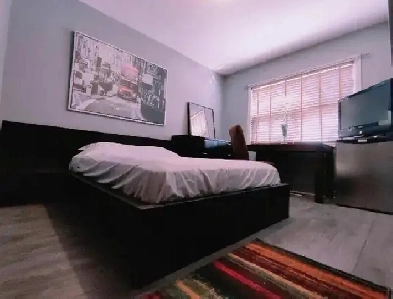 Private Furnished Danforth Room Image# 10