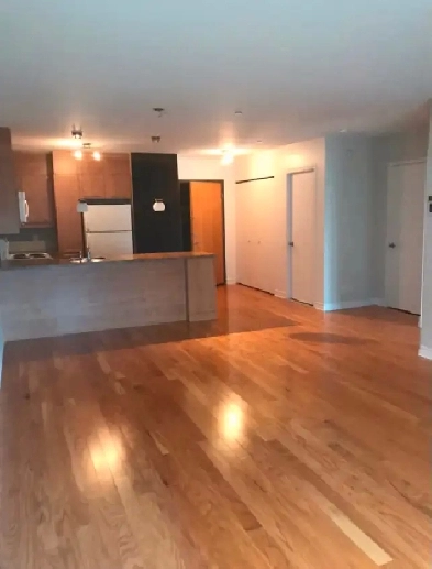 Large Condo 3 1/2 Métro Montmorency Parking Inclus Image# 2