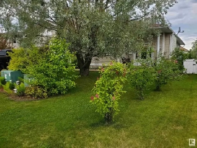Lakewood Estates Bungalow in Cold Lake, AB Image# 8