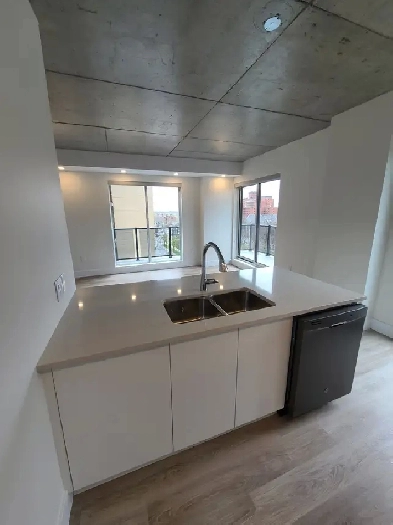 Luxury 2-Bedroom units-September 1st $2595.00 Image# 1