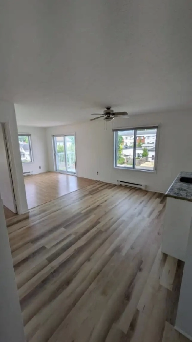 1er août 2025 – 3 ½ – 1 090$/mois – Wifi inclus – Chats acceptés Image# 9