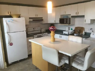 Logement lumineux avec 2 chambres fermées Image# 1