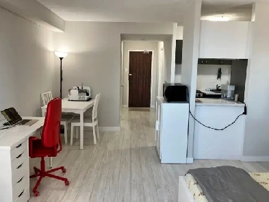 Sub-leasing this fully furnished and spacious studio apartment. Image# 4