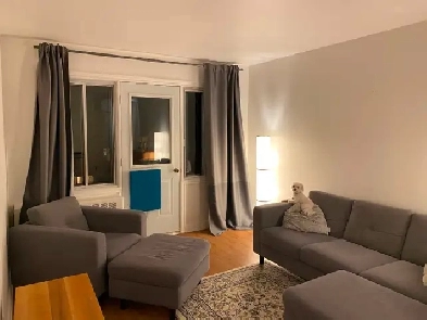 Renovated 3.5 with Balcony and washer and dryer Image# 1