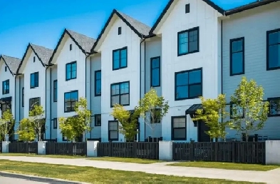 URGENT Looking for a Room or Basement to Rent Image# 1