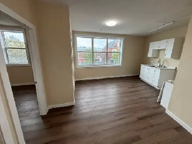 Renovated 1 Bedroom in Niagara Falls Image# 8