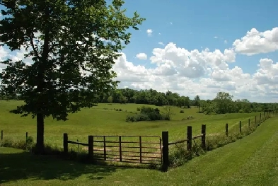 Escape To The Country - Find Your Perfect Rural Property! Image# 1