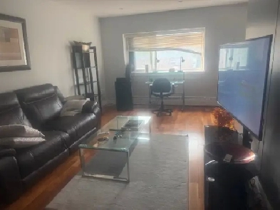 FULLY FURNISHED NEWLY RENOVATED APARTMENT IN CORYDON VILAGE. Image# 2