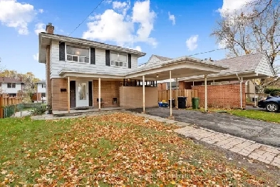 Basement Apartment for RENT–WALKING DISTANCE KENNEDY SUBWAY Image# 3