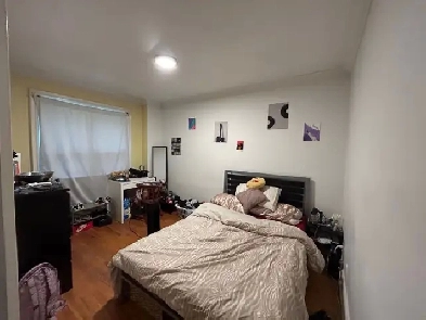 July 1st: Female Roommate Wanted: Davenport and Dovercourt area Image# 3