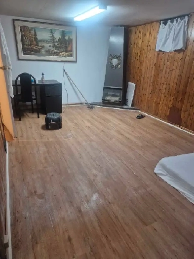 Basement for rent in scarborough Image# 1