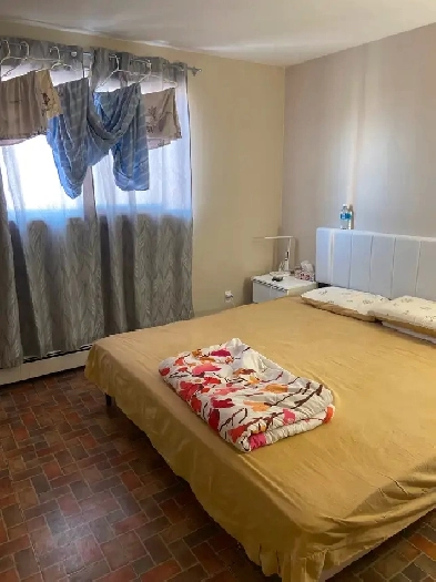 One bedroom apartment for rent Image# 2