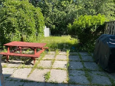 BASEMENT FOR RENT IN SCARBOROUGH Image# 2