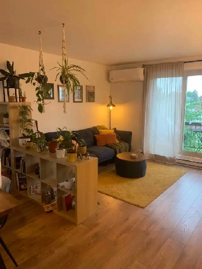 3 1/2 appartement in montréal est Image# 5