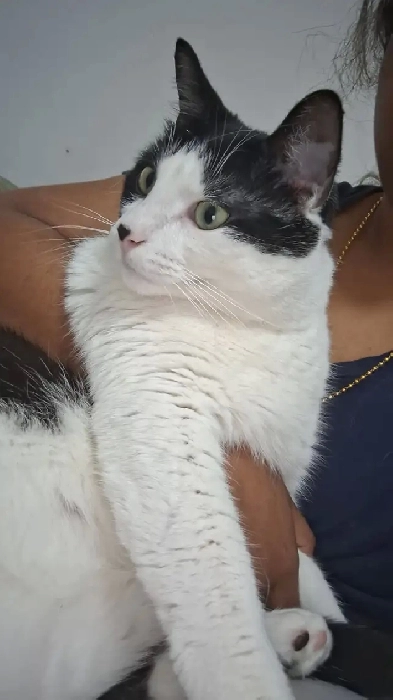 Private room for me and my cat Image# 1