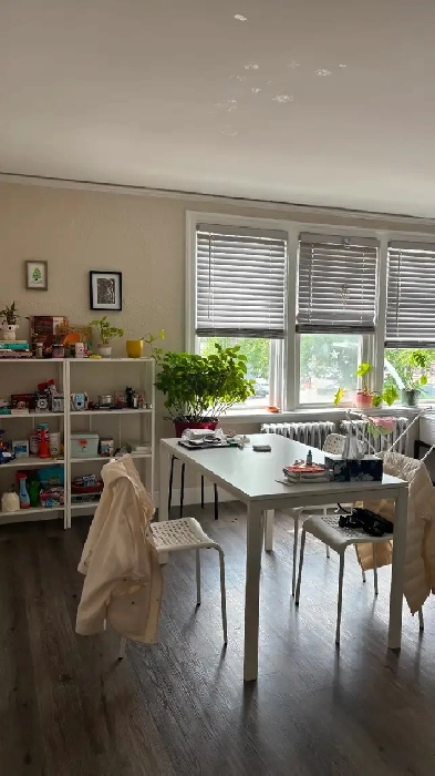 1 bed 1 bath apartment for sublease Image# 14