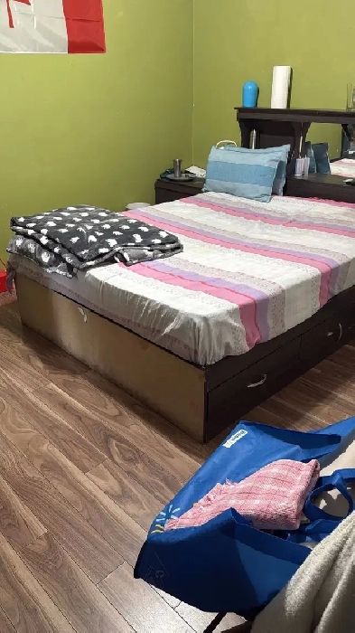 Master bedroom for rent in Malton, Mississauga Image# 1