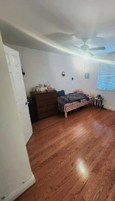 Sharing Room Available in Scarborough Image# 1