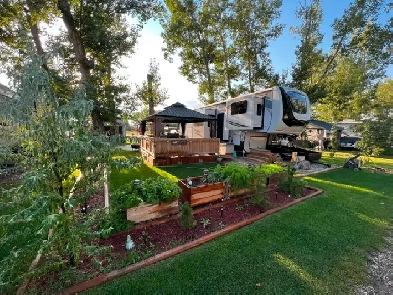 OASIS GROVE RV & GOLF RESORT SOCIETY - RV SITE Image# 8