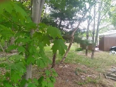 Lot with RV Image# 2