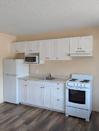 Apt. Trout Creek Ont P0H 2L0 Image# 1