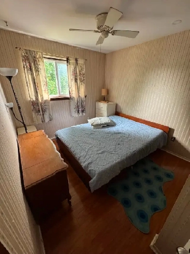 Room For Rent Image# 1